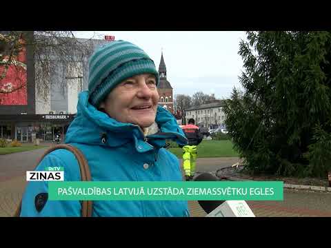 Video: Cik augsta aug Kolorādo zilā egle?