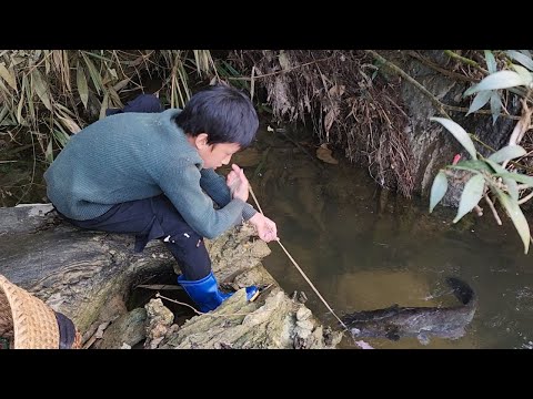 Primitive fishing skills, orphan boy  catches catfish with parachute rope, 12kg of catfish for sale