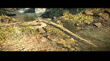 CryEngine 3 SDK Demo Environment: "Forest" [HIGH Settings] [30+ FPS] [1080p HD] | RangerDave