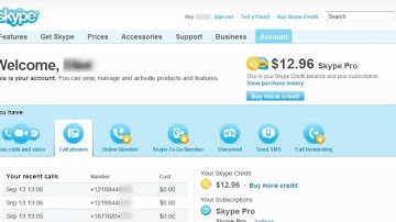 How to get your Skype history