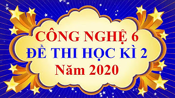 Công Nghệ Lớp 6 – ĐỀ THI CUỐI HỌC KÌ 2 Năm 2020