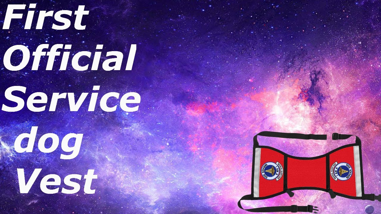 Service dog gear haul and vest unboxing (must watch) YouTube