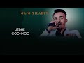 Gajo tilahun walee new oromo music 2024