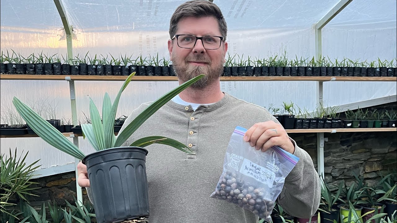 How to Start a Backyard Plant Nursery (Beginner Guide) | Part 1