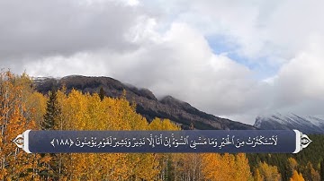 بعثت پیامبر و تأیید رسالتش - آیه 188 سوره اعراف