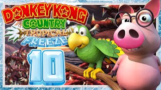 DONKEY KONG COUNTRY TROPICAL FREEZE # 10 🧊 Dornenranken, nichts zu danken!