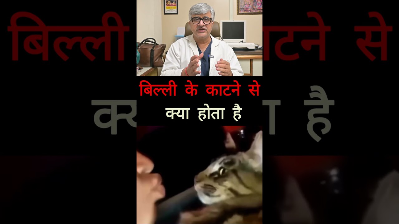 what happens if a cat bites | बिल्ली के काटने से क्या होता है|#CatBiteAwareness #StaySafeFromBites