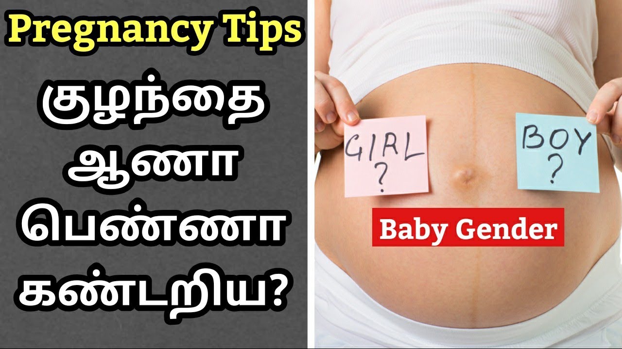 How to Find Baby Boy or Girl During Pregnancy in Tamil / Gender