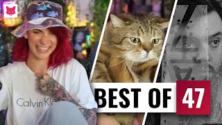 Mon chat est possédé - Best-of #47