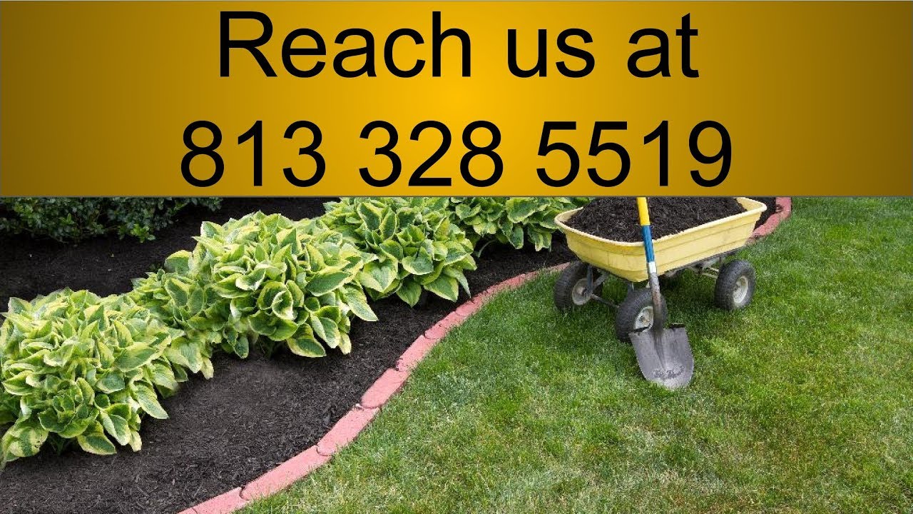 Cheap Lawn Mowing Services Calgary Cheap Lawn Mowing Services Calgary
