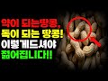 약이되는땅콩,독이되는땅콩 / 땅콩의 효능과 부작용 / 땅콩 선택방법 / 땅콩 보관방법