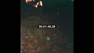 Frank Ocean Type Beat - "MOONLIGHT"