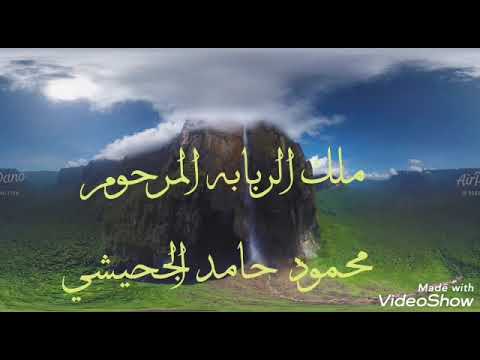 ربابه محمود حامد