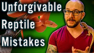 5 Reptile Mistakes WE MUST STOP Making | My Controversial Opinion