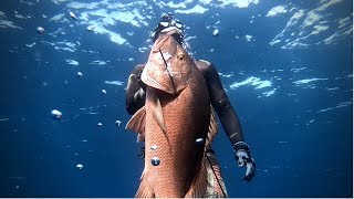 SPEARFISHING || Costa Rica - Mexico