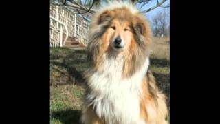 2015 Рождество