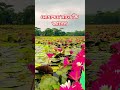 মোহাম্মদ মানে কি জানেন #shorts #mizanur_rahman_azhari #islamic #youtubeshorts #muhammadﷺ #waz #eshat