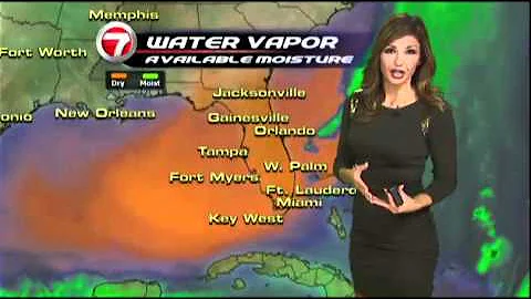 WSVN Weather Julie Durda Black Dress 9/13/2011
