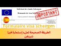       comment remplir le formulaire de demande de visa schengen