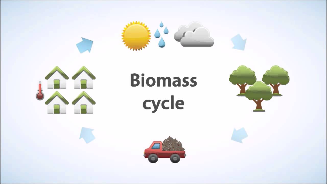 What is Biomass?