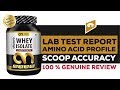 ABBZORB NUTRITION WHEY ISOLATE REVIEW WITH LAB TEST REPORT || BUY OR NOT