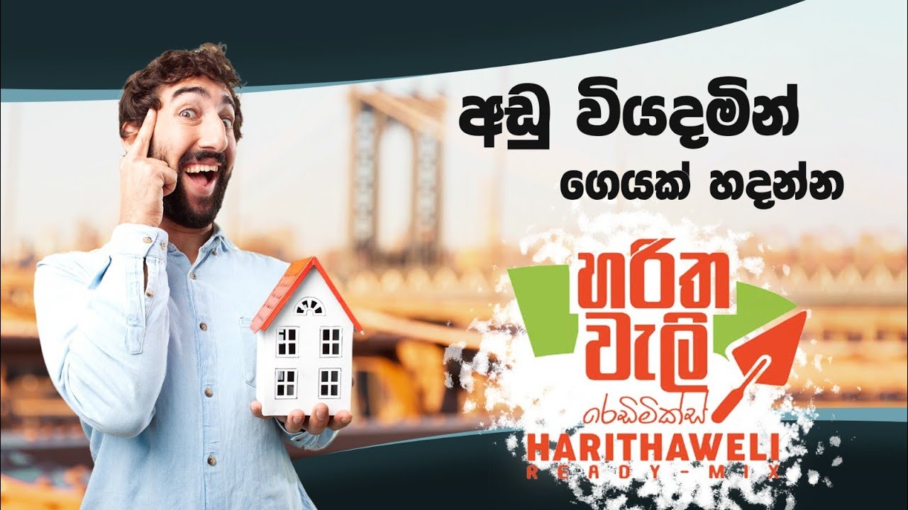 අඩු වියදමකින් ගෙයක් හදන්න හරිතවැලි Ready Mix | Harithaweli Ready Mix with Lakviru BIZ Friday #biz 