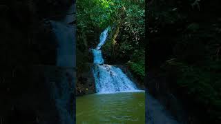 Relax Your Mind in 30 Seconds 🌿 Calming Nature Therapy #shorts