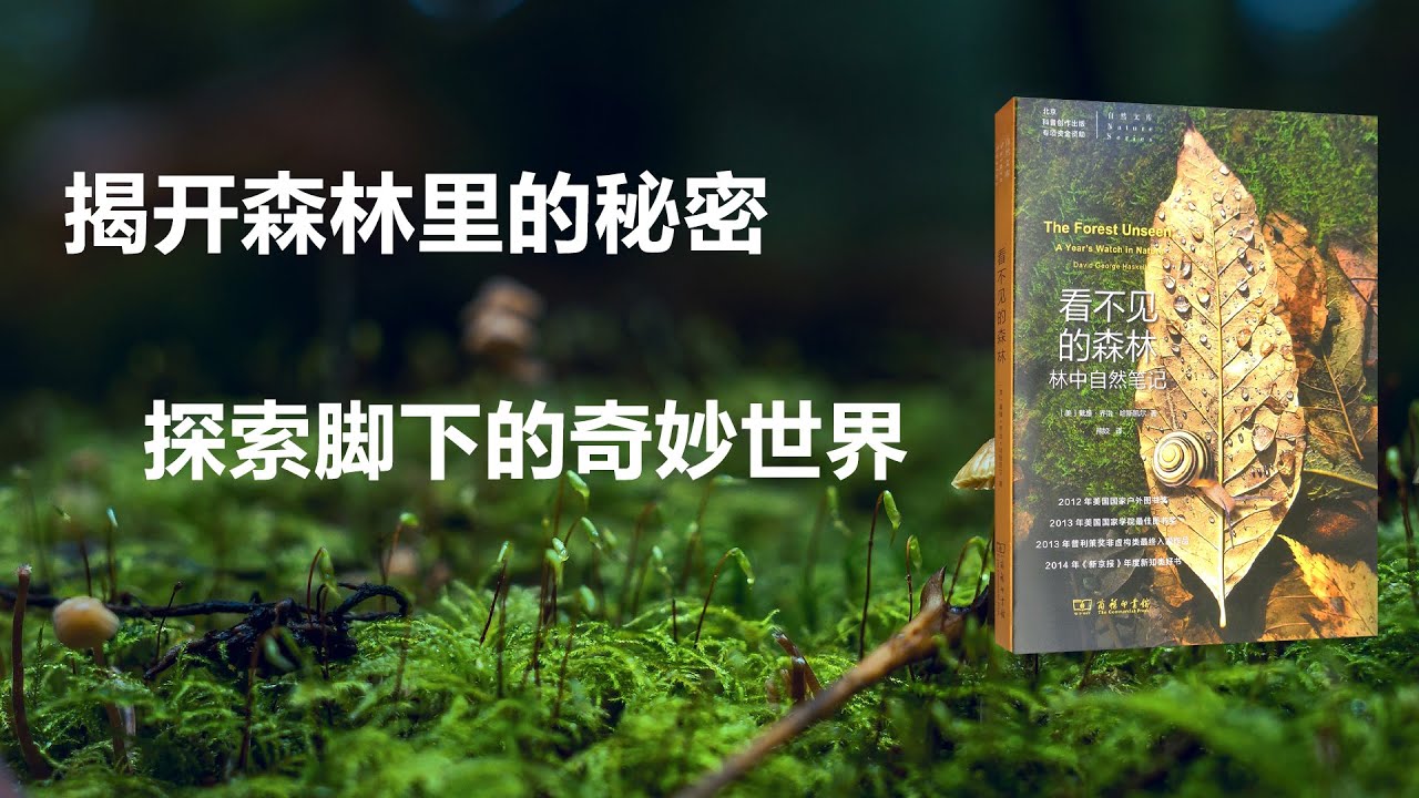揭开