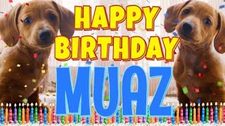 Happy Birthday Muaz! ( Funny Talking Dogs ) What Is Free On My Birthday