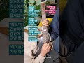 재즈 애드립 중급반! 과제 샘플 영상 올립니다! #애드립 #jazz #기타솔로 #기타 #guitar #즉흥연주