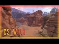 Lets Discover CS2 Maps : Cs_Wild