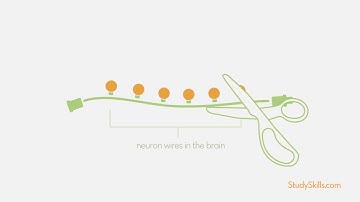 The Learning Disability Circuit: How Learning Disabilities Work #learningopportunities