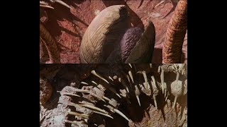 Sarlacc Pit - Return of the Jedi Ultimate Edition