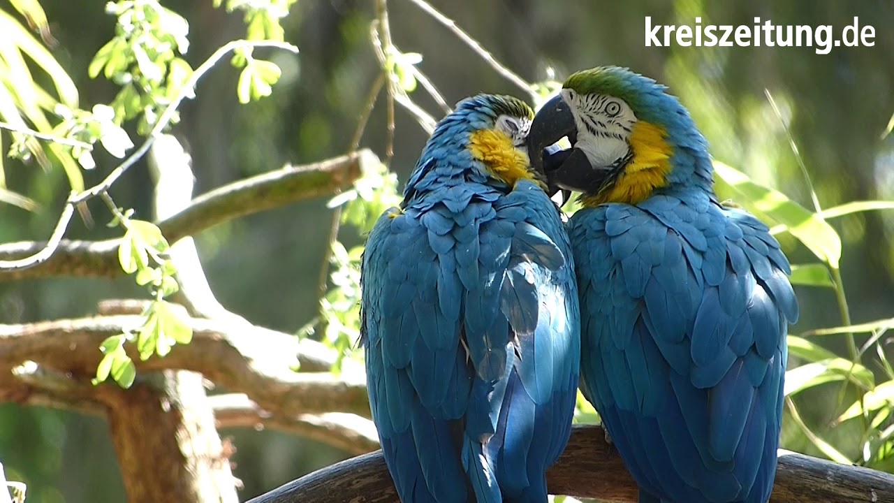 Nach Corona-Pause: Tierpark Ströhen öffnet wieder seine Tore