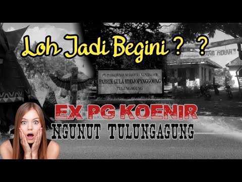 wajah-baru-ex-pg-koenir-|-peninggalan-kolonial-belanda-|-ngunut-tulungagung