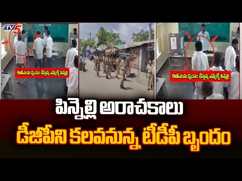 డీజీపీని కలవనున్న టీడీపీ బృందం | TDP Leaders To Meet AP DGP | Pinnelli Ramakrishna Reddy | Tv5 News - TV5NEWS