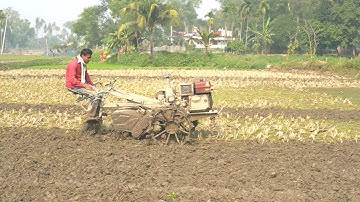 power tiller machine video | Paddy rice field Plowing with aci power tiller machine |