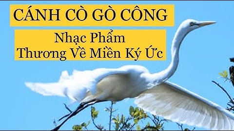 Xem Lại Nhạc Phẩm Cánh Cò Gò Công