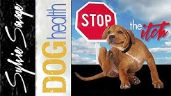 Dry Skin on dogs -  How to stop the itch 