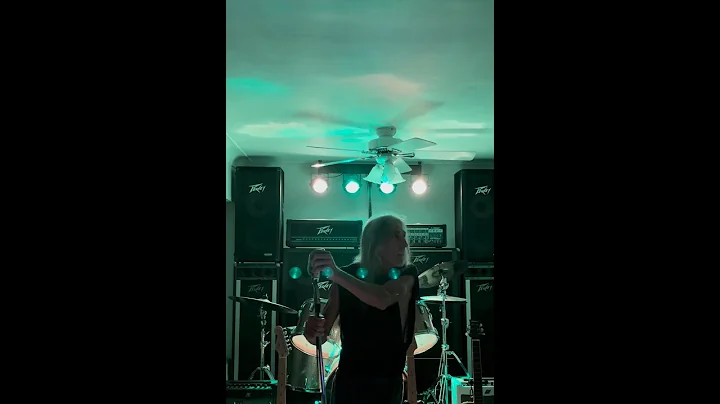 The Brewhouse Singer - Steely Dan - Peg Cover