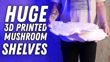 3D Printed Mushroom Shelves