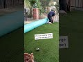 How To Install Artificial Turf