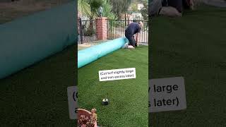 How To Install Artificial Turf