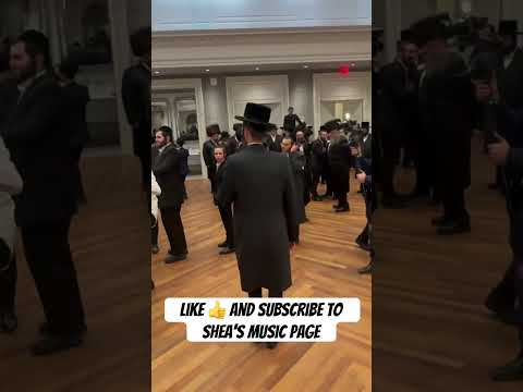 Lipa Schmeltzer & Levi Lesin