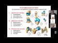 3 часть Теоретическая и функциональная анатомия соединений костей