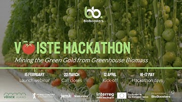 Võiste Hackathon 2024