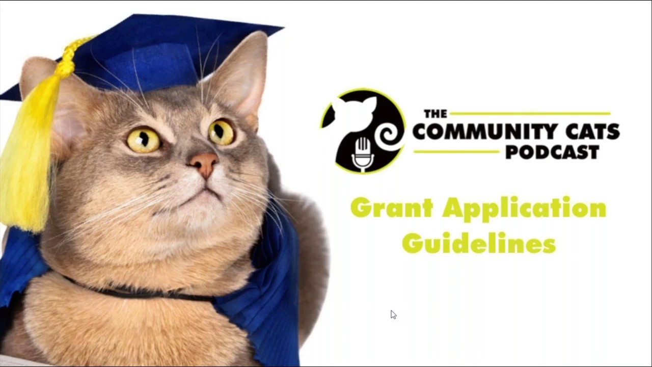 How to Apply for the Community Cats Grants