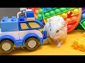 The Best Hamster Challenges 😱 - Hamster Prison Maze Escape🛑Live Stream #3