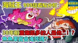 海賊王漫畫999看點分析：38年前重傷凱多的人是他！？魚魚 ... 