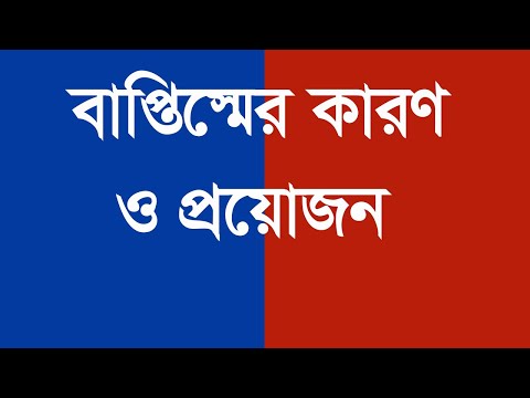 ভিডিও: বাপ্তিস্ম শব্দটি কোথা থেকে এসেছে?